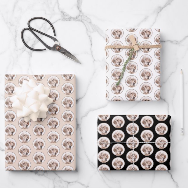 Feuille De Papier Cadeau Anglais Setter Orange Belton Peinture Chien Art (Recto)