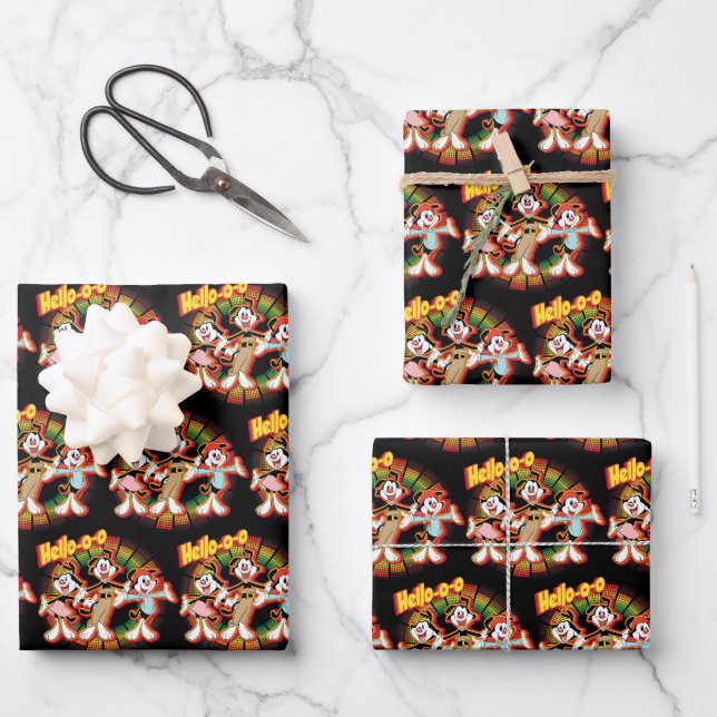 Feuille De Papier Cadeau Animaniacs | Hello-o Retro Equalizer Graphic (Recto)