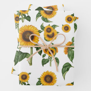 Feuille De Papier Cadeau Aquarelle Fleurs de soleil Botanique Foliage Verdu