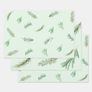 Feuille De Papier Cadeau Aquarelle Green Rosemary Branches Herbal