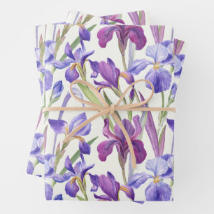 Feuille De Papier Cadeau Aquarelle Purple Iris Fleurs