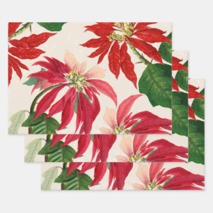 Feuille De Papier Cadeau Aquarelle rouge rustique Poinsettia Flore Verdure