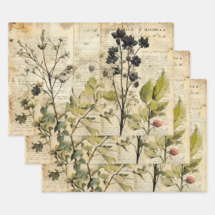 Feuille De Papier Cadeau Aquarelle vintage beige Fleur sauvage naturelle
