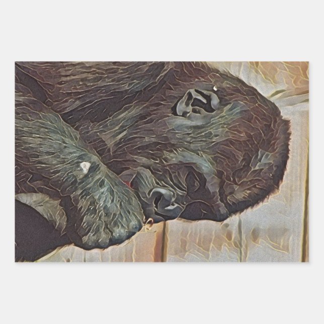 FEUILLE DE PAPIER CADEAU ART CHIMPANZÉ (Devant)