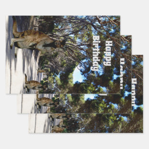 Feuille De Papier Cadeau Australian Wallaby Road, Draps Cadeaux