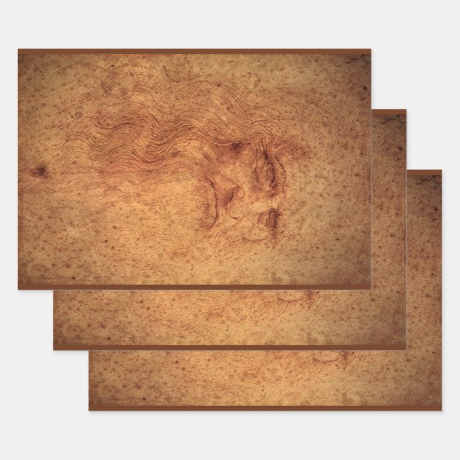 Feuille De Papier Cadeau Autoportrait de Léonard de Vinci, Art Renaissance (Lot)