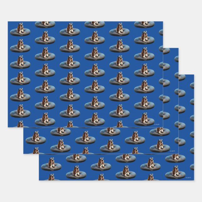 Feuille De Papier Cadeau Basset Hound dans les lunettes de soleil (Lot)