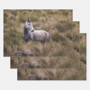 Feuille De Papier Cadeau Beau cheval de couleur grise