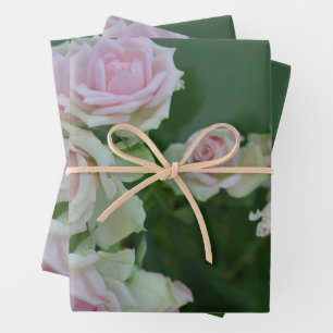 Feuille De Papier Cadeau Beau jardin rose clair roses