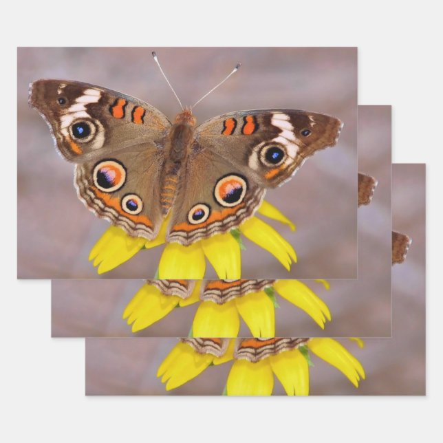 Feuille De Papier Cadeau Beau papillon sur fleur jaune  (Lot)