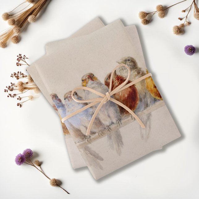 Feuille De Papier Cadeau Beaux oiseaux Aquarelle Perche des oiseaux (Créateur téléchargé)