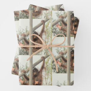 Feuille De Papier Cadeau Bébé balançant Orangoutan Toutes les occasions