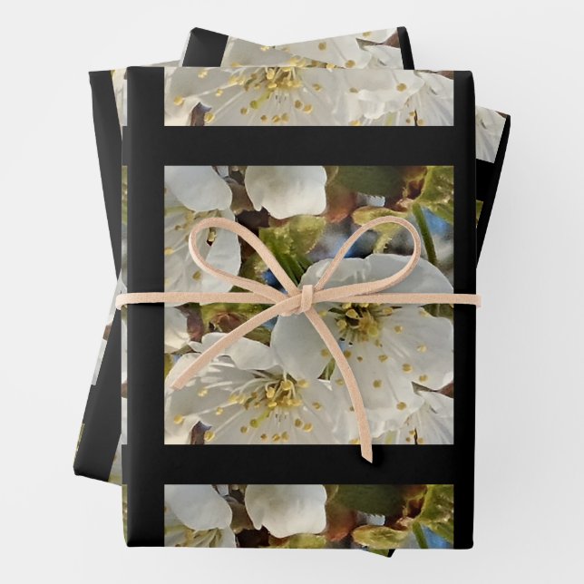 Feuille De Papier Cadeau Belle Grille Springflower (En situation)