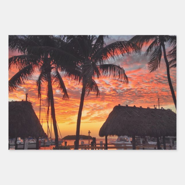 Feuille De Papier Cadeau Belles photos de paysages de Floride (Devant 3)