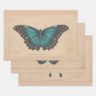 Feuille De Papier Cadeau Beurre bleu vintage Lourd Poids Découpage