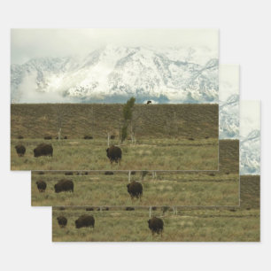 Feuille De Papier Cadeau Bison à Grand Teton National Park Photographie