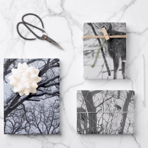 Feuille De Papier Cadeau Black White Winter Nature Vie sauvage Cerf