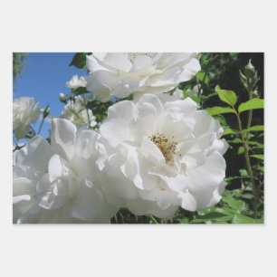 Feuille De Papier Cadeau blanc, rose, élégant, vintage, fleuri, fleurs, rom