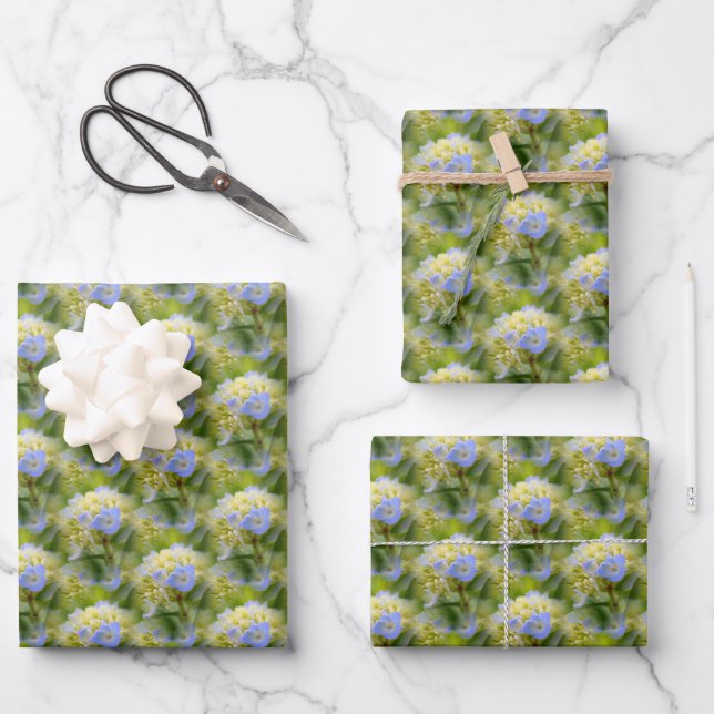 Feuille De Papier Cadeau Bleu doux Hydrangea Fleur Motif Nature   (Recto)