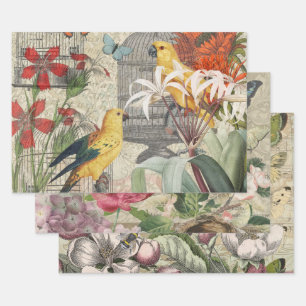 Feuille De Papier Cadeau Botanique Vintage Oiseaux Nature Tropical Antique