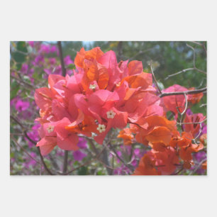 Feuille De Papier Cadeau Bougainvillea Floral Island Rose Tropical