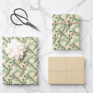 Feuille De Papier Cadeau Branches de pin vert Noël