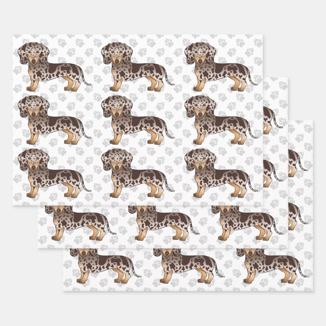 Feuille De Papier Cadeau Brown & Tan Dapper Cheveux courts Motif Dachshund (Lot)