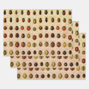 Feuille De Papier Cadeau Bug d'insectes coccinelle de coccinelle