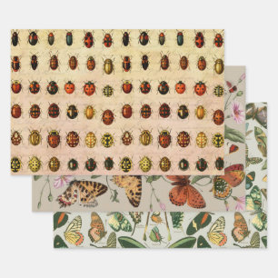 Feuille De Papier Cadeau Bug d'insectes coccinelle de coccinelle