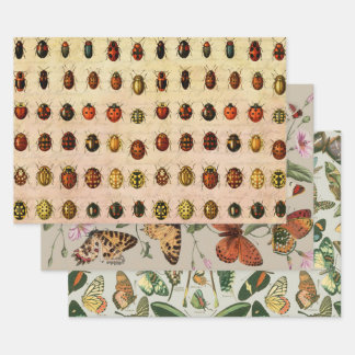 Feuille De Papier Cadeau Bug d'insectes coccinelle de coccinelle