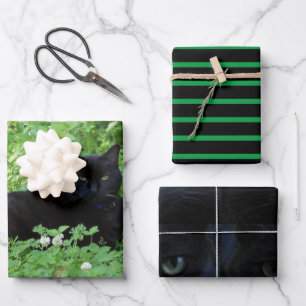 Feuille De Papier Cadeau Cadeau ou artisanat d'Amoureux de les chats noirs