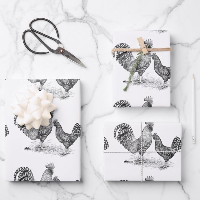 Feuille De Papier Cadeau California Gray Rooster and Hen (Recto)