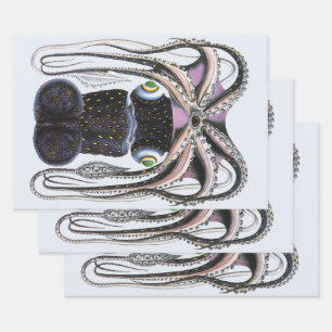 Feuille De Papier Cadeau Calmar géant vintage ou poulpe, animal marin