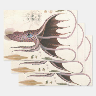 Feuille De Papier Cadeau Calmar Parasol, Animaux de la Vie Marine Vintage