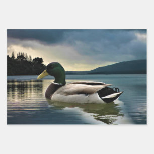 Feuille De Papier Cadeau Canard colvert sur le lac