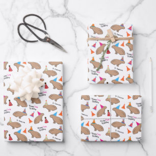 Feuille De Papier Cadeau Capybara Anniversaire Enfants Personnalisé Blanc