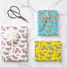 Capybara Personnalisé Anniversaire Illustré À La M