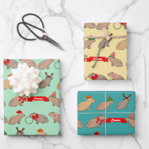 Feuille De Papier Cadeau Capybara Personnalisé Noël Faune Mignonne