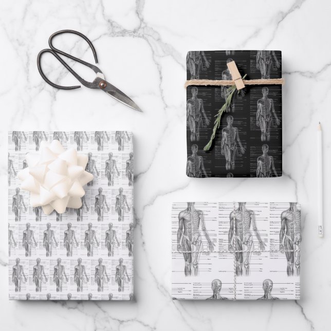 Feuille De Papier Cadeau Carte médicale d'anatomy (Recto)