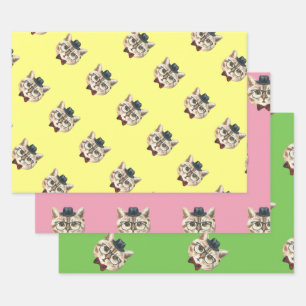 FEUILLE DE PAPIER CADEAU CAT DAPPER
