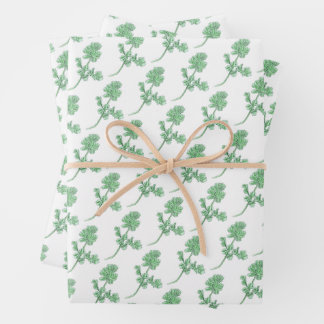 Feuille De Papier Cadeau Celery Leaf
