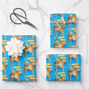 Feuille De Papier Cadeau Chapeau d'anniversaire Corgi Butt