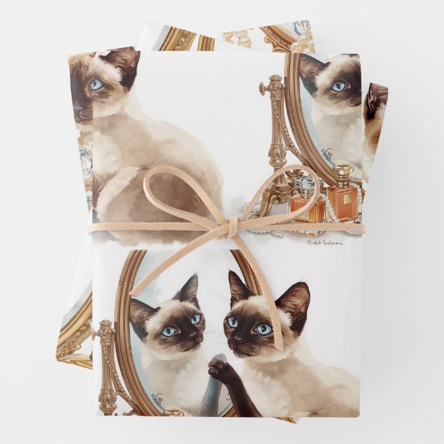 Feuille De Papier Cadeau Chat avec miroir  (En situation)