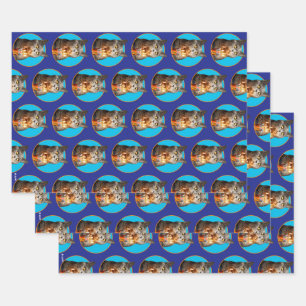 Feuille De Papier Cadeau Chat avec verre d'anniversaire