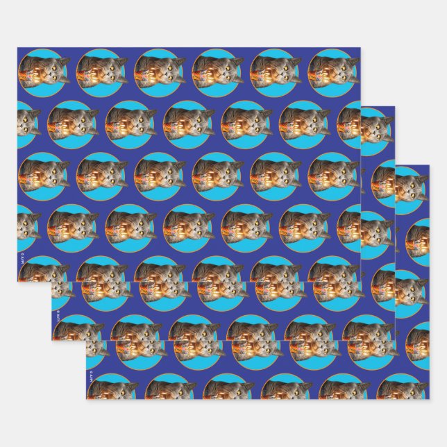 Feuille De Papier Cadeau Chat avec verre d'anniversaire (Lot)