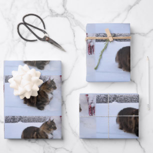 Feuille De Papier Cadeau chat de la forêt norvégienne dans la neige