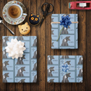 Feuille De Papier Cadeau Chat Drôle Papa Fête des Pères Gris Chat Bleu