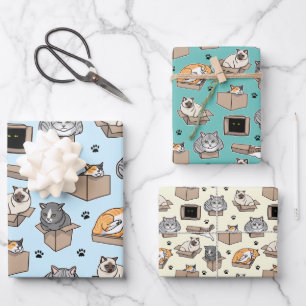 Feuille De Papier Cadeau Chats en boîtes Si je me rends assis, choisissez v