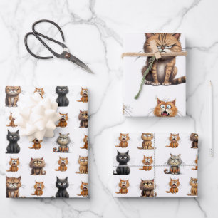 Feuille De Papier Cadeau Chats Mad Angry Black Grey Orange
