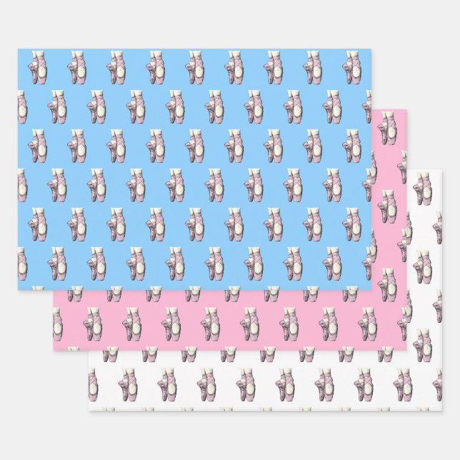 Feuille De Papier Cadeau Chaussures de ballet Lt Rose En Pointe FL à faire  (Lot)